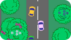 Minicars