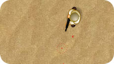 War in Iraq